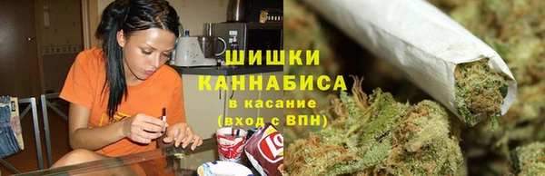 гидра Михайловка