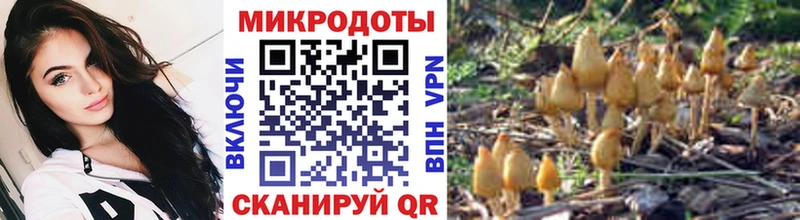купить закладку  Магнитогорск  Галлюциногенные грибы Psilocybine cubensis 