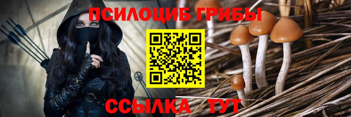 Галлюциногенные грибы Psilocybe  Вход с VPN  Магнитогорск 
