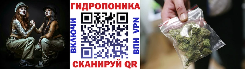 Бошки Шишки White Widow  купить наркоту  Магнитогорск 